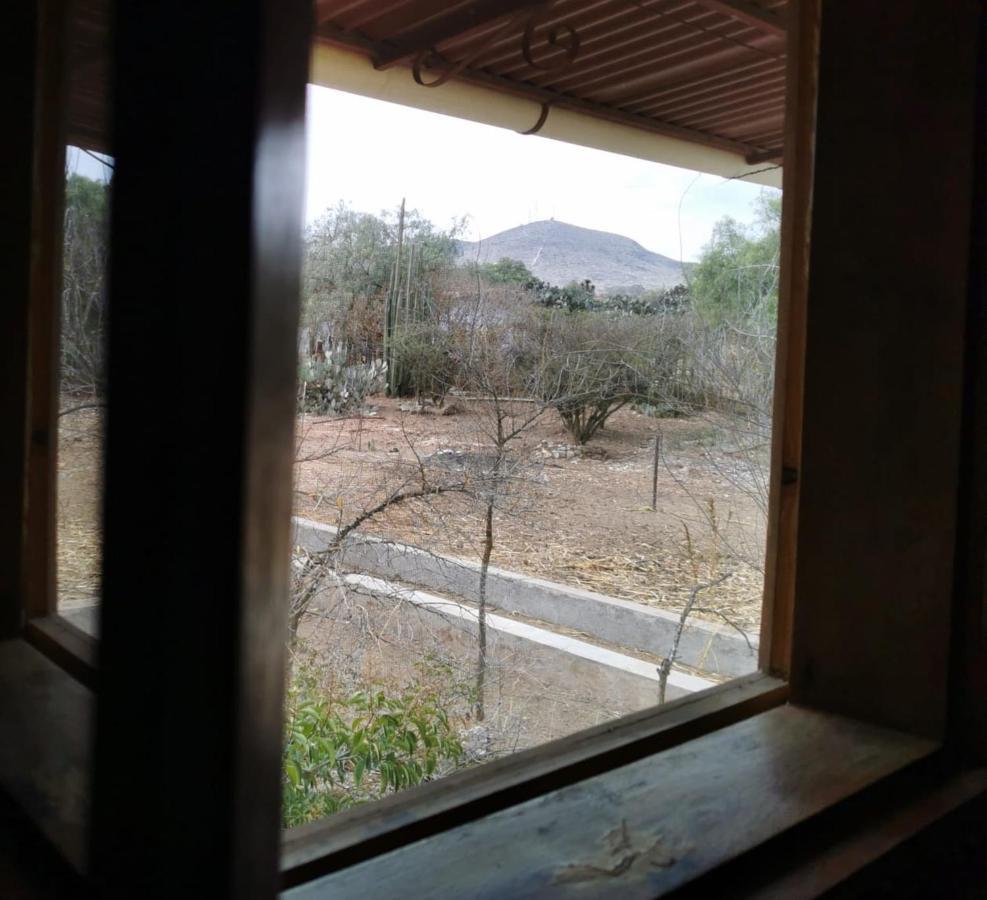 Posada Casa Del Minero Pozos  外观 照片